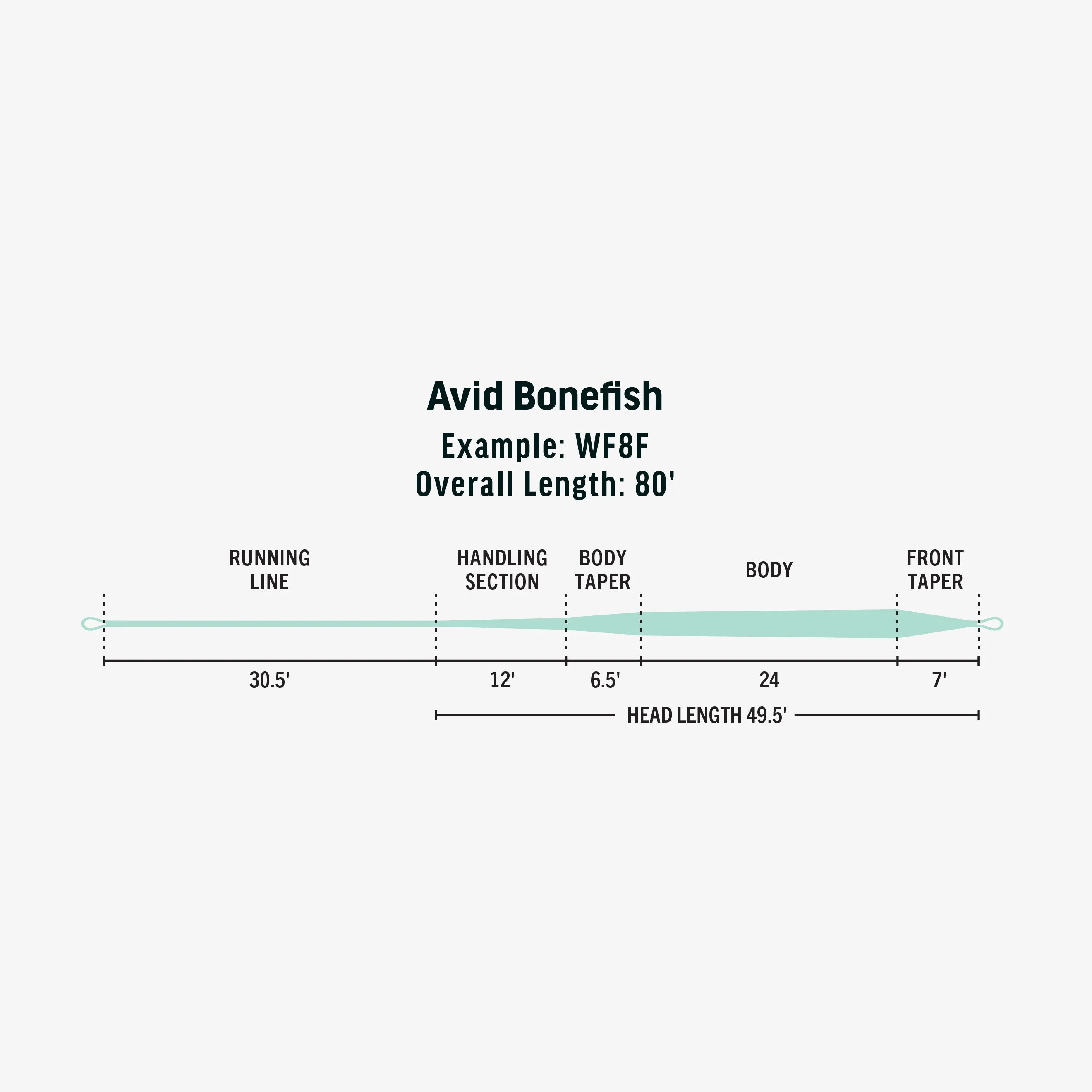 Avid Bonefish