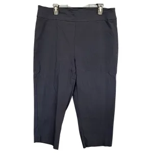 Eric Casual Navy Blue Stretch Plus Size Capri Pants Size 2XL