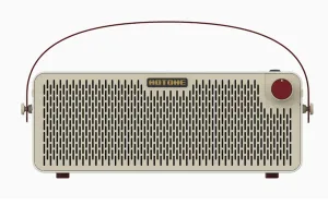 Hotone Pulze AP-30WH Multifunctional Modern Bluetooth Modeling Amplifier - Luna