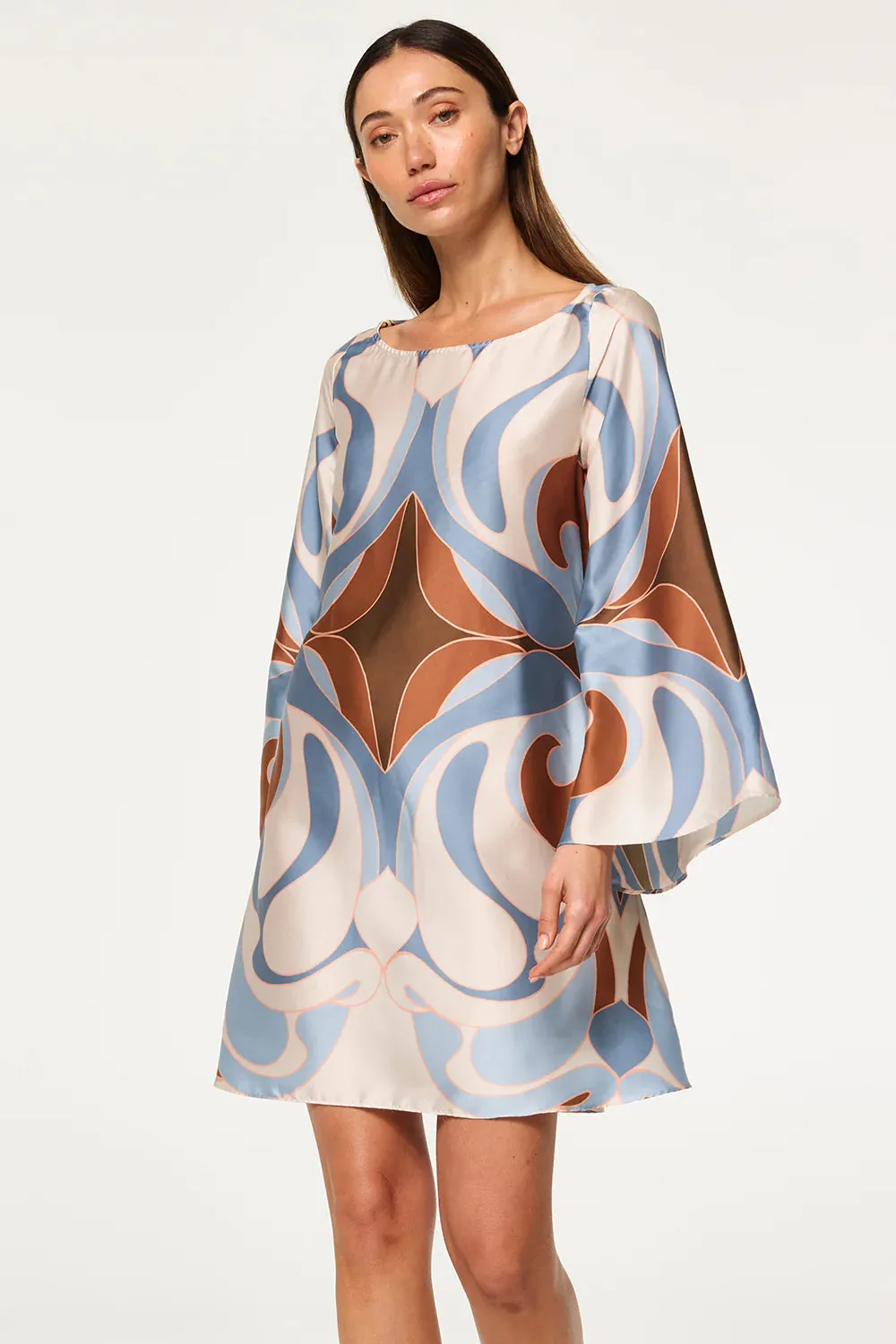 Twiggy Dress - The Swans All Over